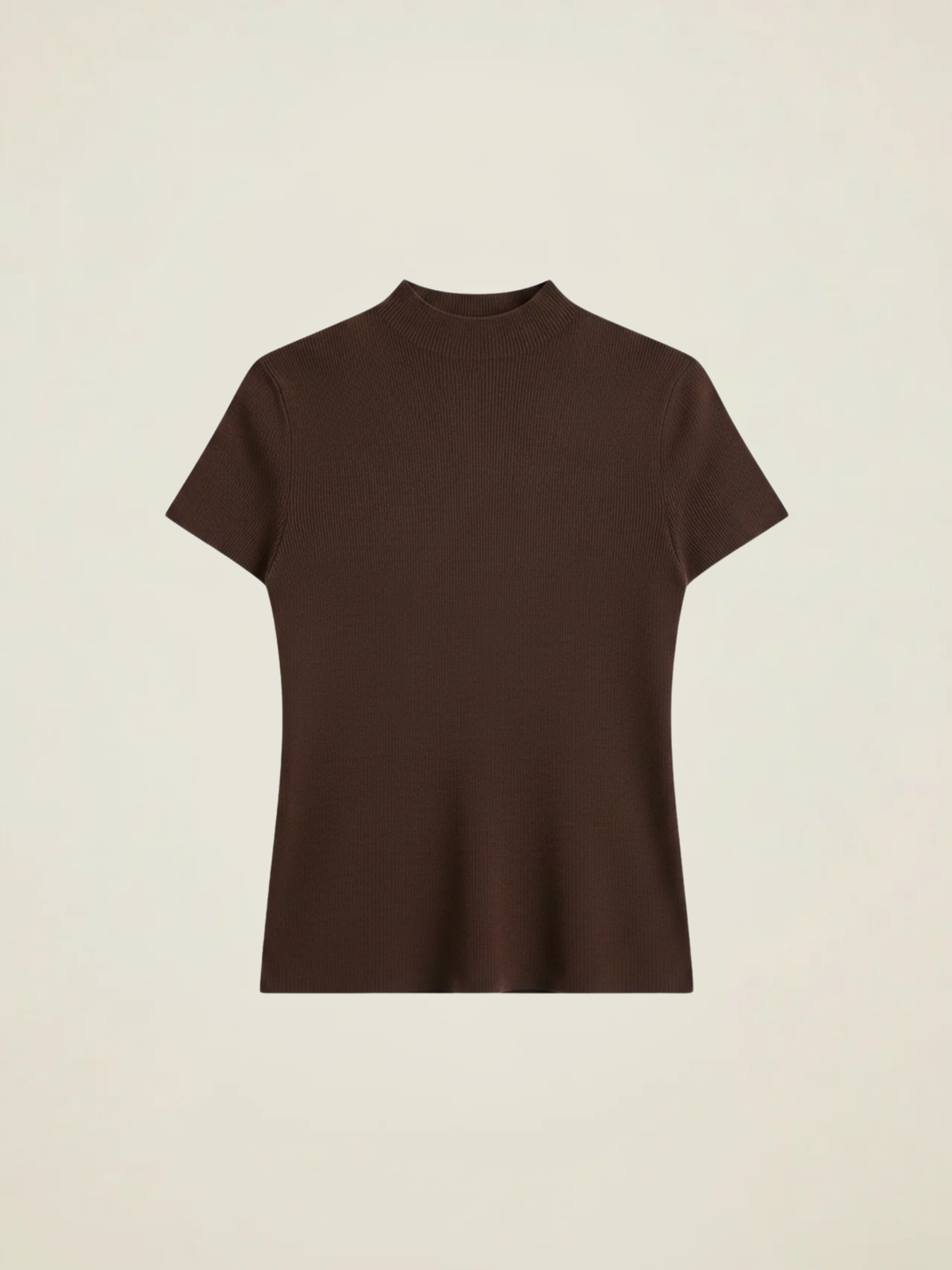 Ribbed Mock Neck Knit Top